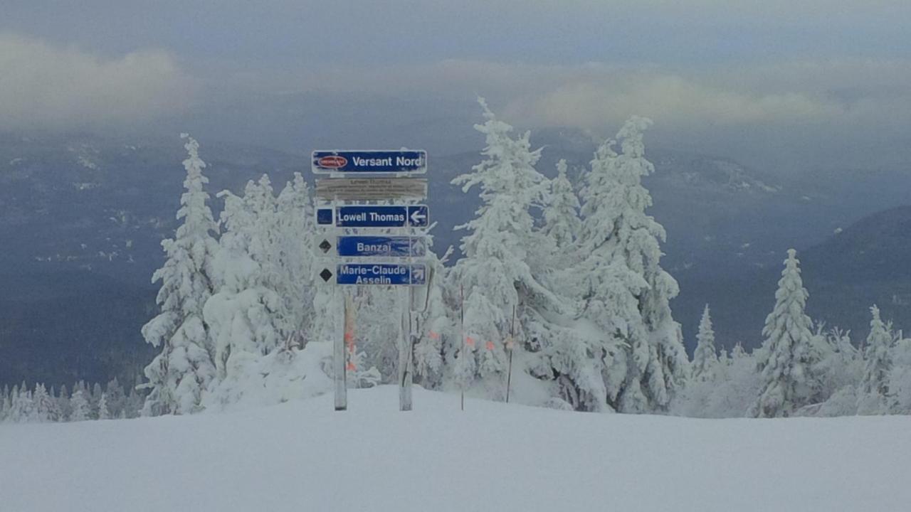 Chalet F116 Mont-Tremblant Nord ลัค-ซุแปร์ริเออร์ ภายนอก รูปภาพ