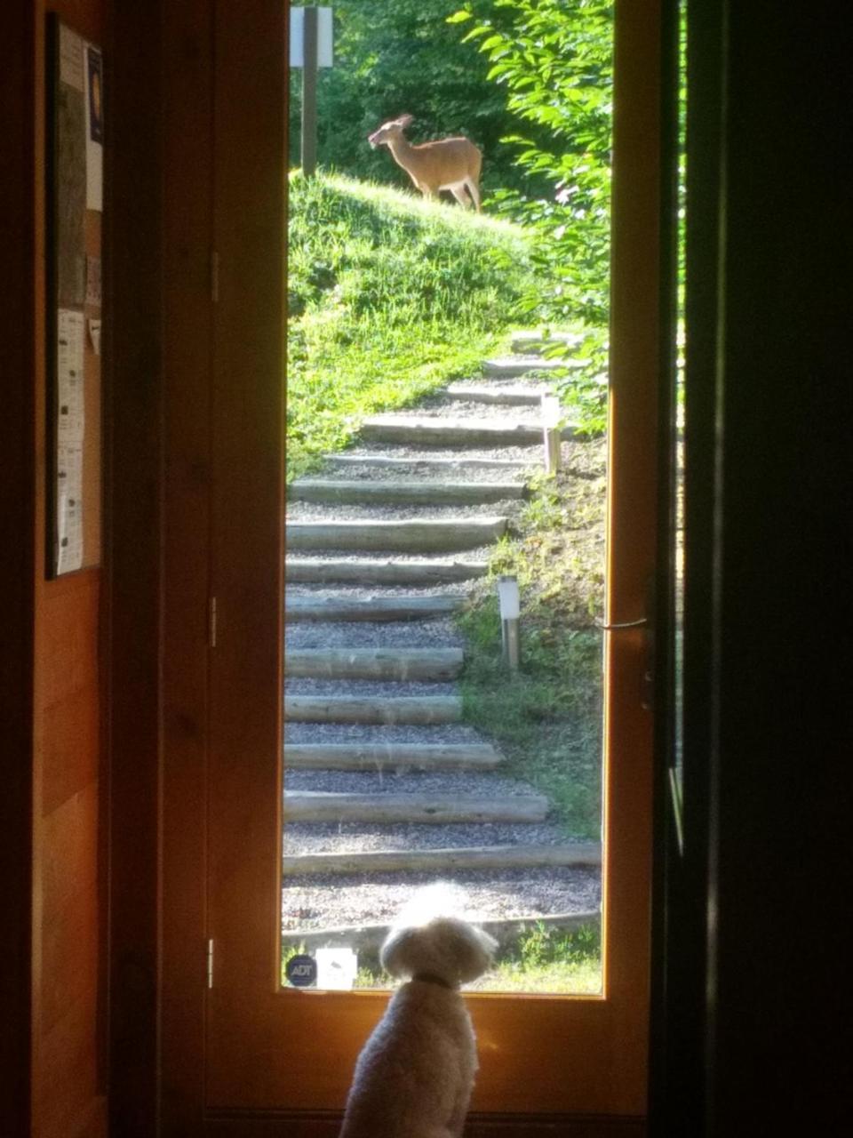 Chalet F116 Mont-Tremblant Nord ลัค-ซุแปร์ริเออร์ ภายนอก รูปภาพ